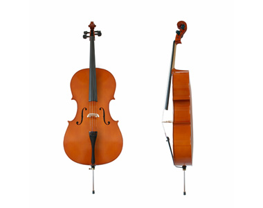 Violoncelo